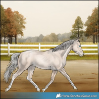 Horse Color:Gold Cream Champagne Pearl