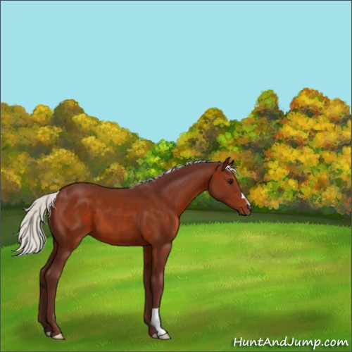 Horse Color:Chocolate Silver Brown 