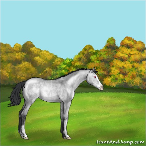 Horse Color:Brown Chinchilla Dun Sabino 