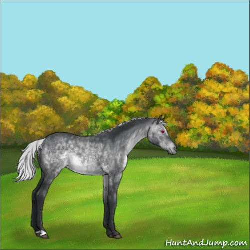 Horse Color:Silver Brown Chinchilla 