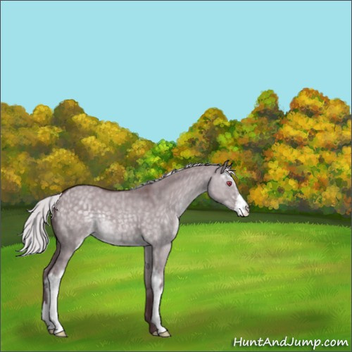 Horse Color:Chocolate Silver Grullo Chinchilla Sabino 