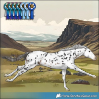 Horse Color:White Spotted Brown Appaloosa 