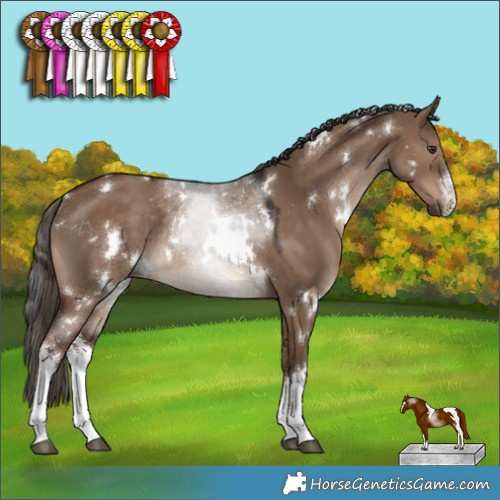 Horse Color:White Spotted Liver Red Dun Rabicano 