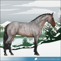 Horse Color:Brown Roan 