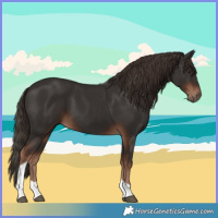 Horse Color:Liver Chestnut Tobiano 
