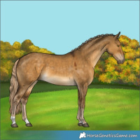 Horse Color:Chocolate Palomino Dun Tobiano 