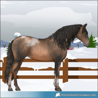 Horse Color:Liver Chestnut Pearl Tobiano 