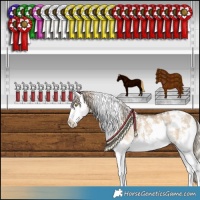 Horse Color:White Spotted Chocolate Palomino Dun Sabino Splash