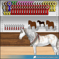 Horse Color:White Spotted Chocolate Palomino Dun Sabino Splash 