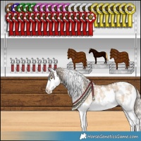 Horse Color:White Spotted Chocolate Palomino Dun Sabino Splash 