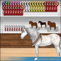 Horse Color:White Spotted Chocolate Palomino Dun Sabino Splash