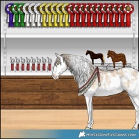 Horse Color:White Spotted Chocolate Palomino Dun Sabino Splash