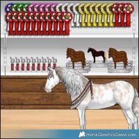 Horse Color:White Spotted Chocolate Palomino Dun Sabino Splash 
