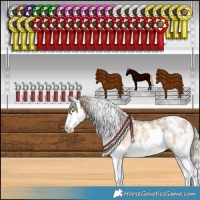 Horse Color:White Spotted Chocolate Palomino Dun Sabino Splash