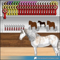 Horse Color:White Spotted Chocolate Palomino Dun Sabino Splash 