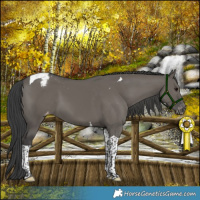 Horse Color:Grullo Tobiano Varnish 