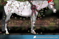 Horse Color:Gray Brown Roan Onyx Near Leopard Rabicano 