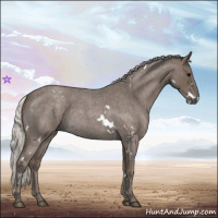 Horse Color:White Spotted Silver Blue Roan 