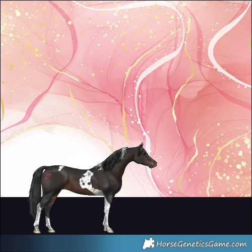 Horse Color:Brown Tobiano 