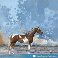 Horse Color:Chocolate Palomino Tobiano 