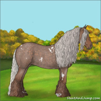 Horse Color:White Spotted Silver Blue Roan 