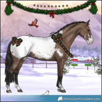 Horse Color:Liver Red Dun Sabino Snowcap Rabicano Brindle 