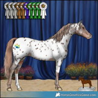 Horse Color:Liver Chestnut Appaloosa