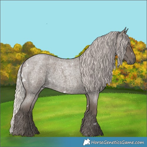 Horse Color:White Spotted Silver Blue Roan 