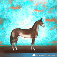Horse Color:Liver Chestnut Sabino Rabicano 