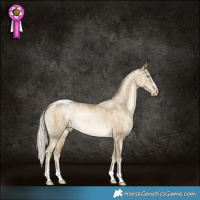 Horse Color:Silver Smoky Grullo Pearl Rabicano Brindle 