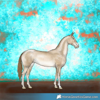 Horse Color:Buckskin Pearl Sabino Rabicano 