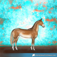 Horse Color:Chocolate Palomino Sabino Rabicano 