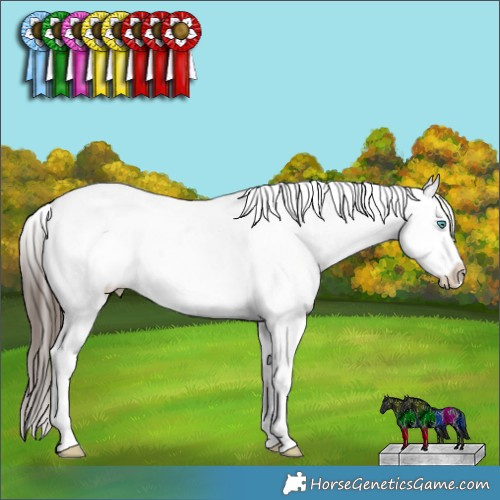 Horse Color:Liver Chestnut Ice Sabino Splash Appaloosa Rabicano 