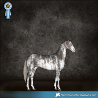 Horse Color:Silver Smoky Black Sabino Rabicano