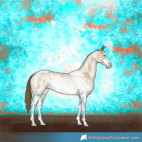 Horse Color:Buckskin Pearl Sabino Rabicano 