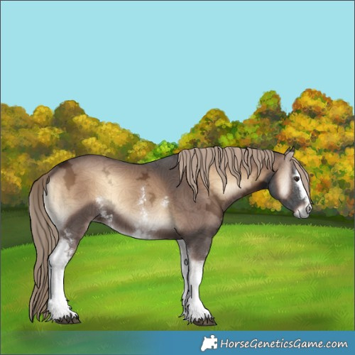 Horse Color:White Spotted Liver Red Onyx Ice 