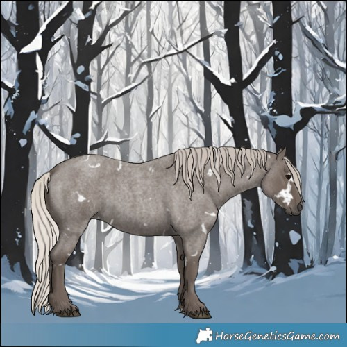 Horse Color:White Spotted Silver Blue Roan 