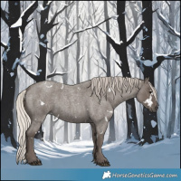 Horse Color:White Spotted Silver Blue Roan