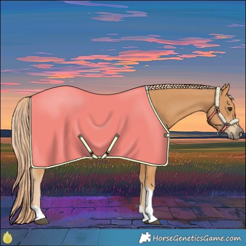 Horse Color:Chestnut Tobiano 