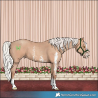 Horse Color:Silver Amber Champagne Sabino 
