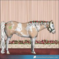 Horse Color:White Spotted Silver Classic Champagne Splash 