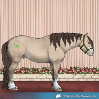Horse Color:Amber Champagne Dun 
