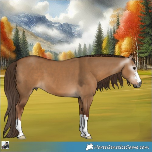 Horse Color:Gray Red Dun