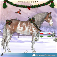 Horse Color:Silver Brown Sabino 