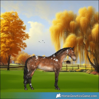 Horse Color:Gray White Spotted Bay Snowflake Varnish 