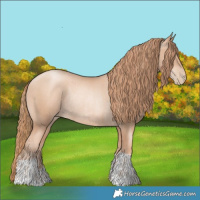 Horse Color:Gold Champagne Pearl Rabicano and Gold Champagne Pearl Rabicano