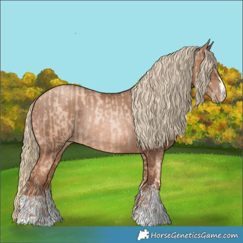 Horse Color:Gold Champagne Pearl Rabicano  and Liver Chestnut Pearl Rabicano 