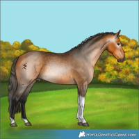 Horse Color:Gray Buckskin Tobiano 
