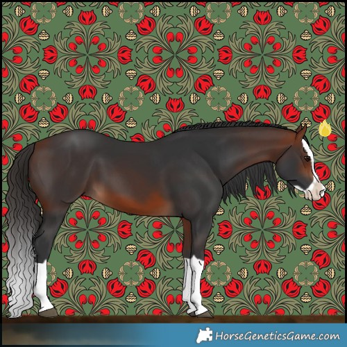 Horse Color:Bay Splash 