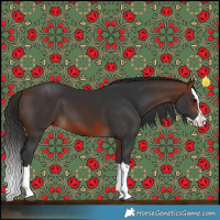 Horse Color:Bay Splash 